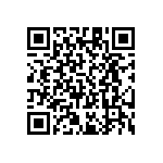 RT1206FRE071K96L QRCode
