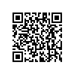 RT1206FRE0728R7L QRCode