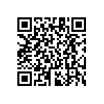 RT1206FRE07332KL QRCode