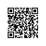 RT1206FRE07383RL QRCode