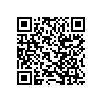 RT1206FRE0743RL QRCode