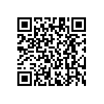 RT1206FRE07453KL QRCode