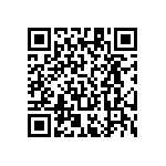 RT1206FRE074K02L QRCode