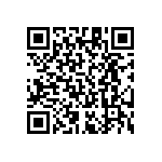 RT1206FRE07511RL QRCode