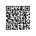 RT1206FRE0763R4L QRCode