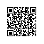 RT1206FRE0795K3L QRCode