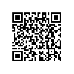 RT1206WRB07309KL QRCode