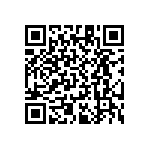 RT1206WRB073K48L QRCode