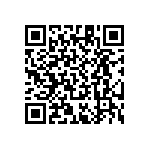 RT1206WRB074K87L QRCode