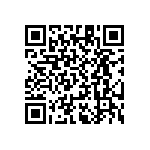 RT1206WRB0761R9L QRCode