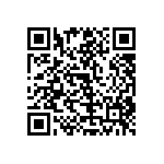 RT1206WRB076K04L QRCode