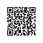 RT1206WRB076K19L QRCode