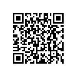 RT1206WRB0786R6L QRCode