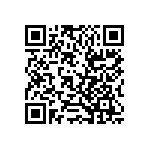 RT1206WRB078K2L QRCode