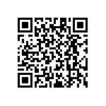 RT1206WRB0790K9L QRCode