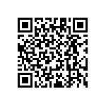 RT1206WRB0790R9L QRCode
