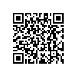 RT1206WRB07953RL QRCode