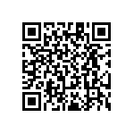 RT1206WRB0795R3L QRCode