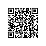 RT1206WRC0710K2L QRCode