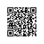 RT1206WRC0711R3L QRCode