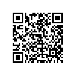 RT1206WRC0713K3L QRCode