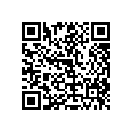 RT1206WRC0716K2L QRCode