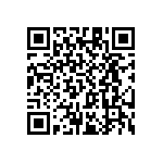 RT1206WRC0716K9L QRCode