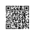 RT1206WRC0717R8L QRCode