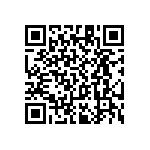 RT1206WRC0725R5L QRCode