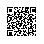 RT1206WRC0741R2L QRCode