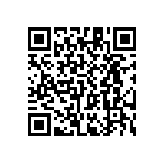 RT1206WRC0743K2L QRCode