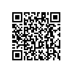 RT1206WRC0745R3L QRCode