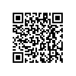 RT1206WRC0769K8L QRCode
