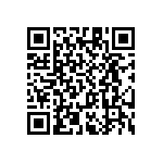 RT1206WRC076K49L QRCode