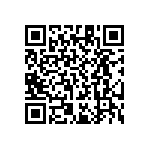RT1206WRD071K13L QRCode