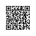 RT1206WRD0743K2L QRCode