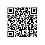 RT1206WRD078K2L QRCode