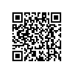 RT1206WRD079K09L QRCode