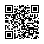 RT12C2P103 QRCode