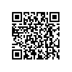 RT2010DKE07165RL QRCode