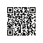 RT2010DKE071K33L QRCode