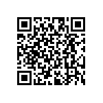 RT2010DKE07287RL QRCode