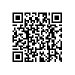 RT2010DKE0730R9L QRCode