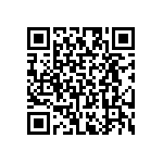RT2010DKE0743K2L QRCode