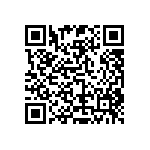 RT2010FKE07133RL QRCode