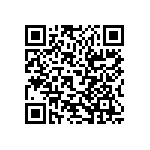 RT2010FKE0727RL QRCode
