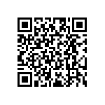 RT2010FKE07953RL QRCode