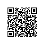 RT2512BKE07137RL QRCode