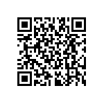 RT2512BKE07309RL QRCode