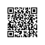 RT2512BKE07590RL QRCode